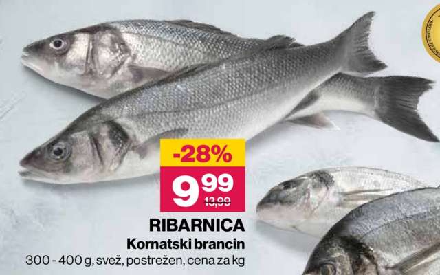 RIBARNICA Kornatski brancin
