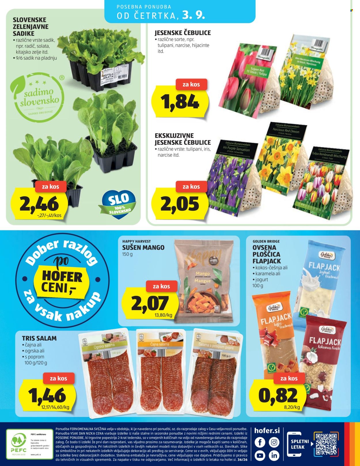 Hofer katalog - 26.8.2026 - 3.9.2026. Stran 28