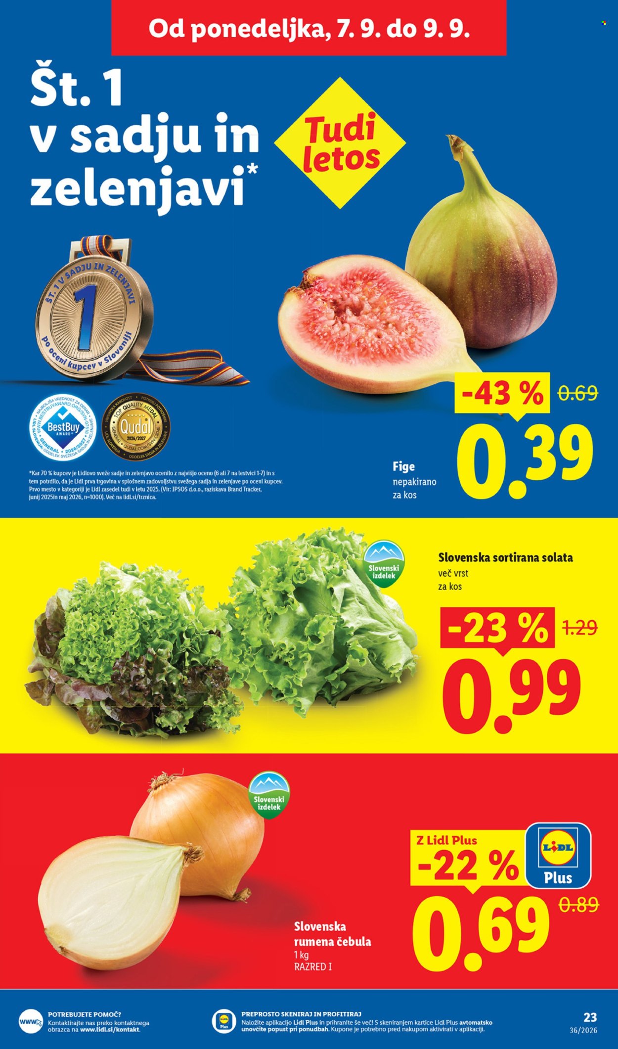 Lidl katalog - 3.9.2026 - 9.9.2026. Stran 41