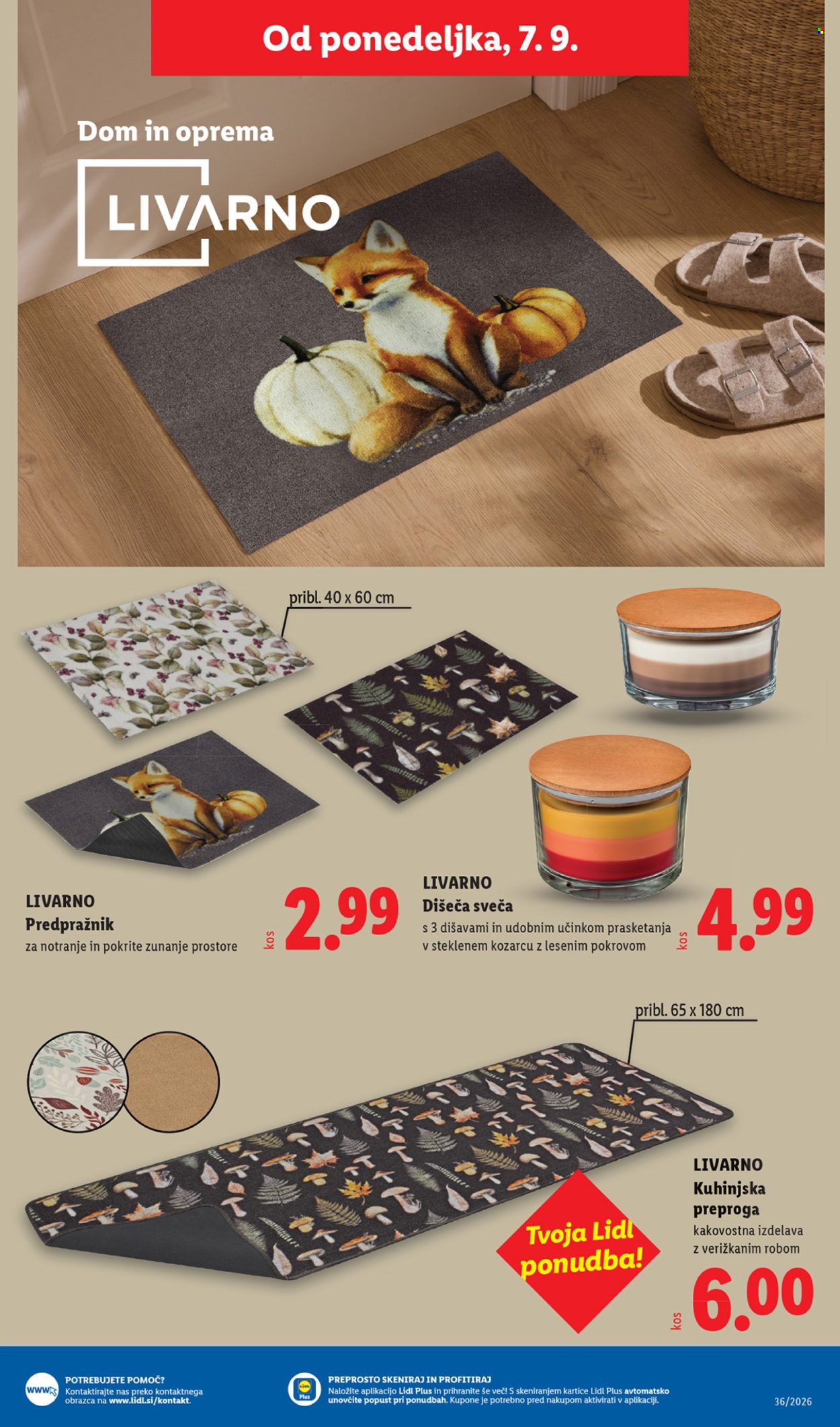 Lidl katalog - 3.9.2026 - 9.9.2026. Stran 55