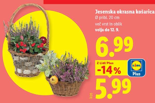 Jesenska okrasna košarica