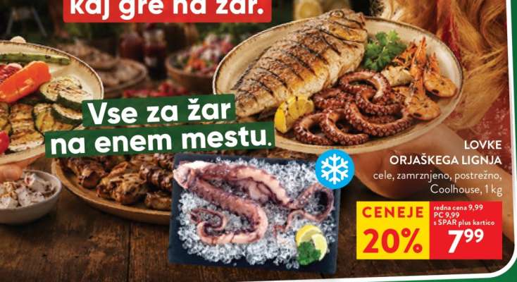 LOVKE ORJAŠKEGA LIGNJA