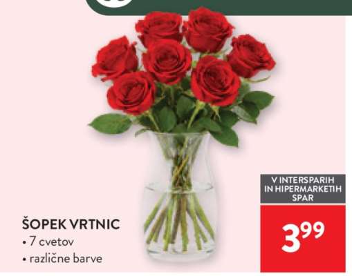 ŠOPEK VRTNIC