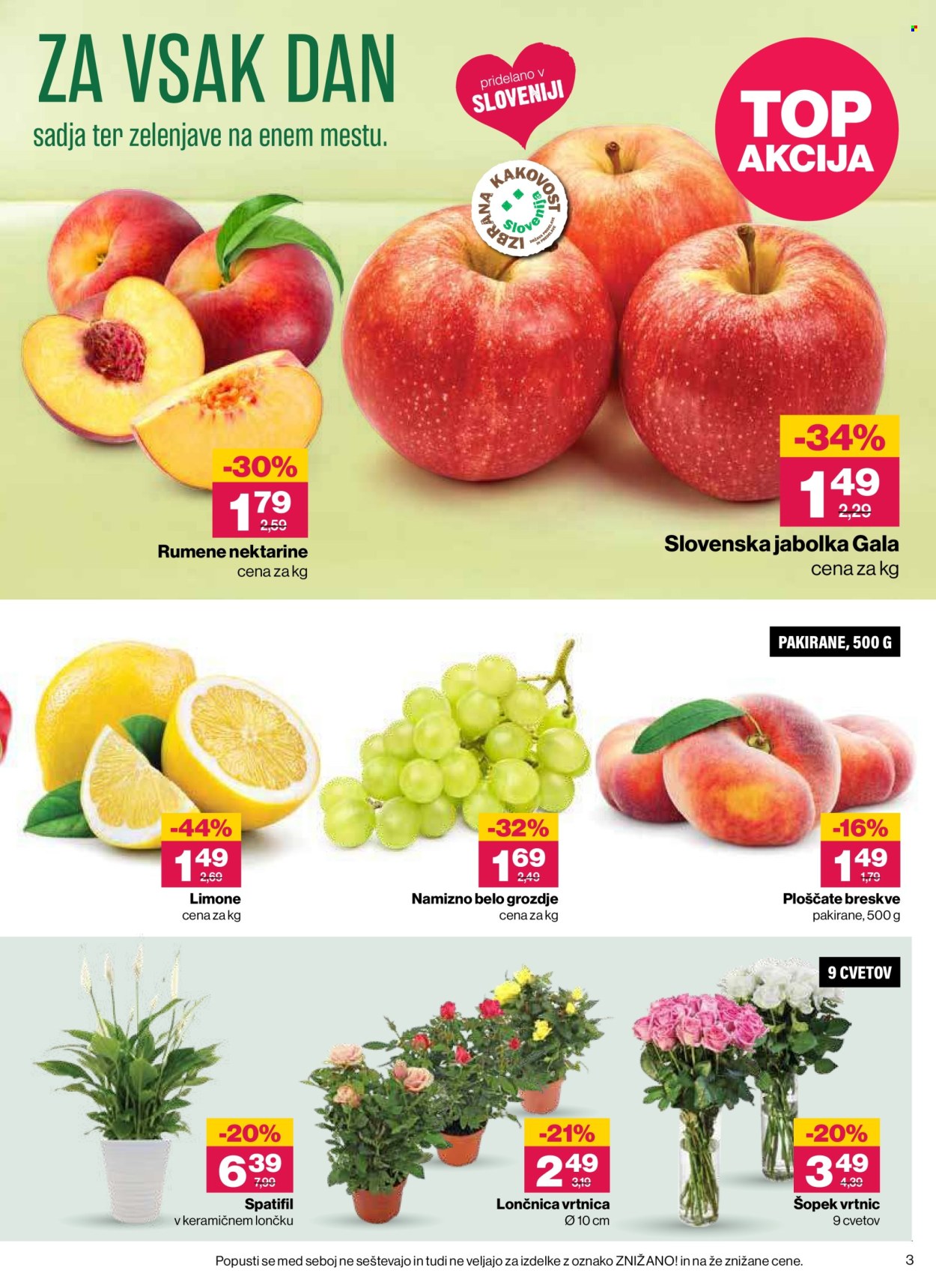 Mercator katalog - 3.9.2026 - 9.9.2026. Stran 3