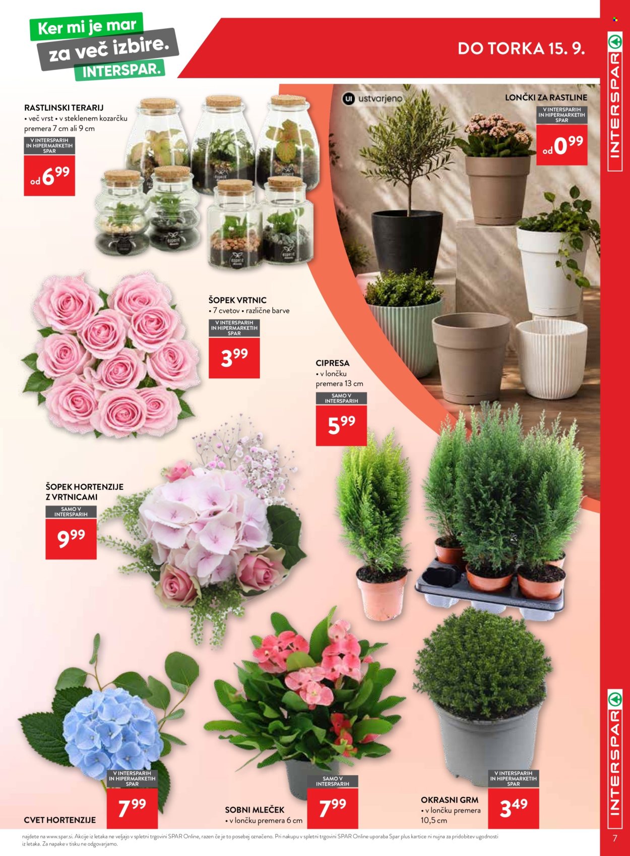 INTERSPAR katalog - 2.9.2026 - 15.9.2026. Stran 7