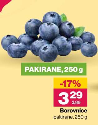 BOROVNICE