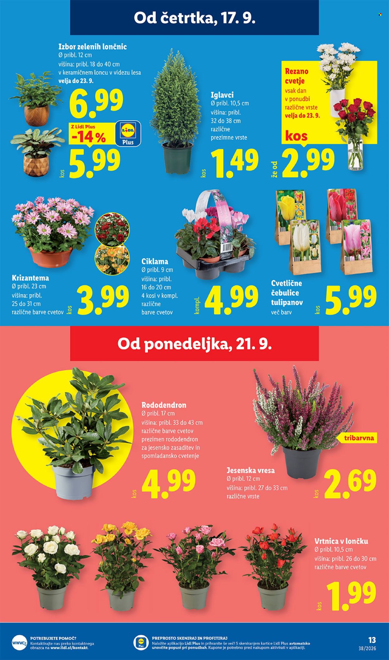 Lidl katalog - 17.9.2026 - 23.9.2026. Stran 23