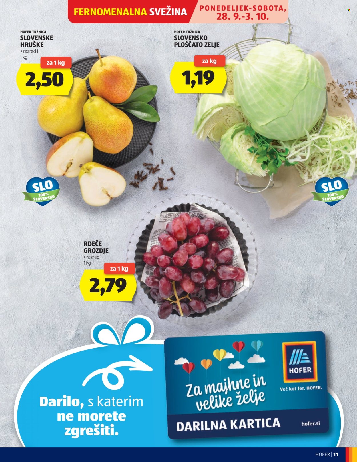 Hofer katalog - 23.9.2026 - 1.10.2026. Stran 11