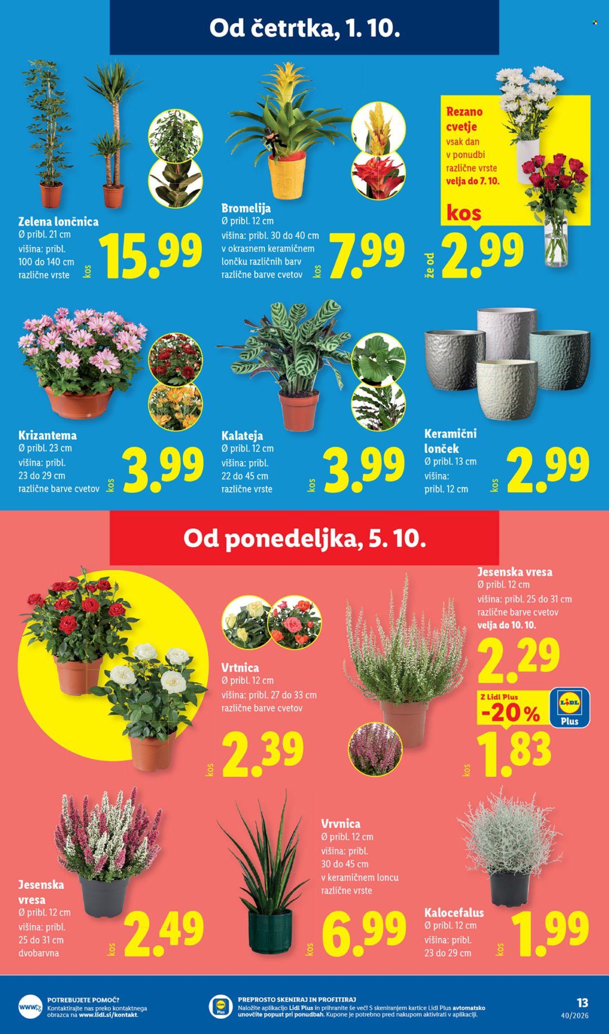 Lidl katalog - 1.10.2026 - 7.10.2026. Stran 21