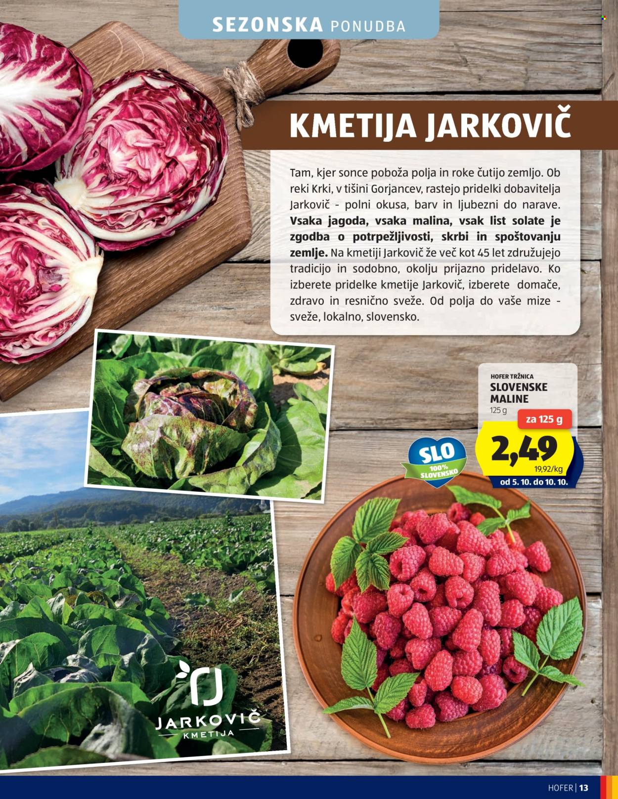 Hofer katalog - 30.9.2026 - 8.10.2026. Stran 13