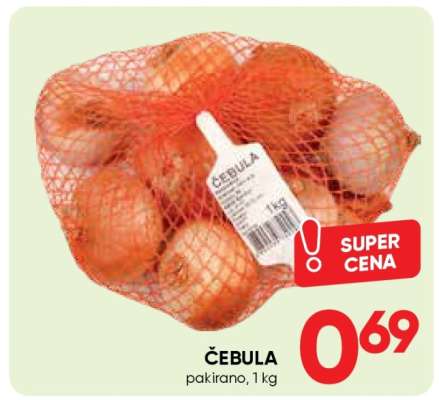 ČEBULA