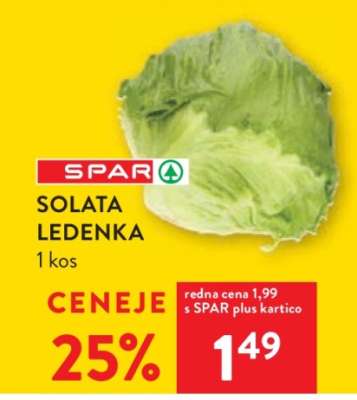 SOLATA LEDENKA