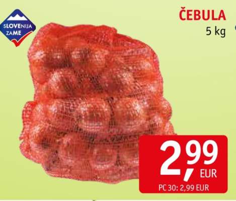 ČEBULA