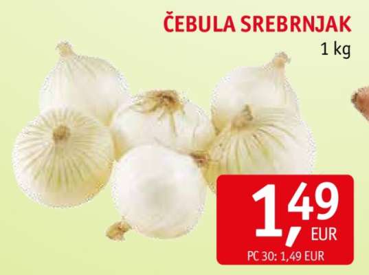 Čebula Srebrnjak