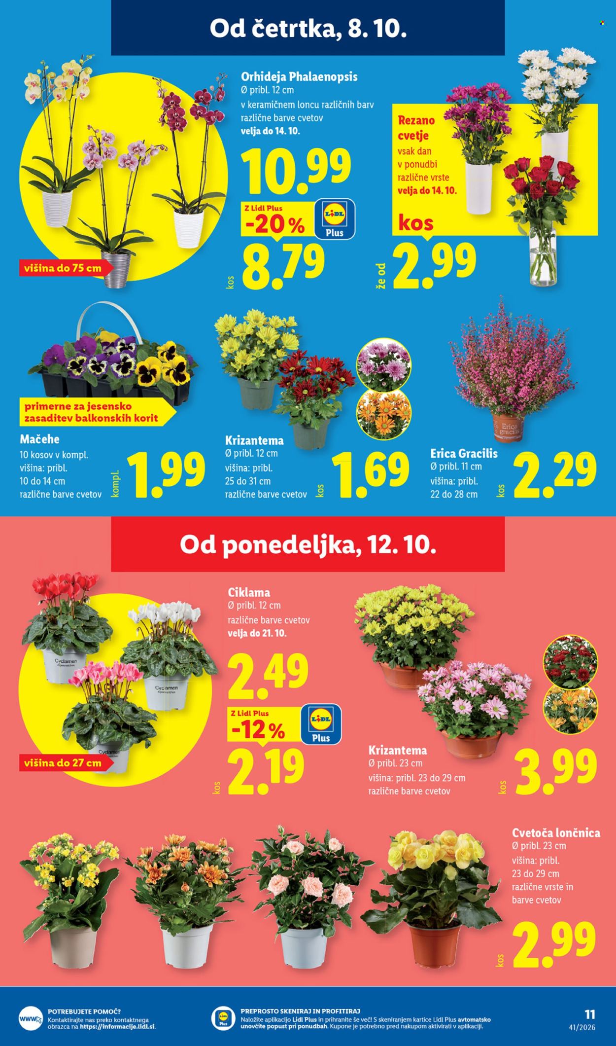 Lidl katalog - 8.10.2026 - 14.10.2026. Stran 23