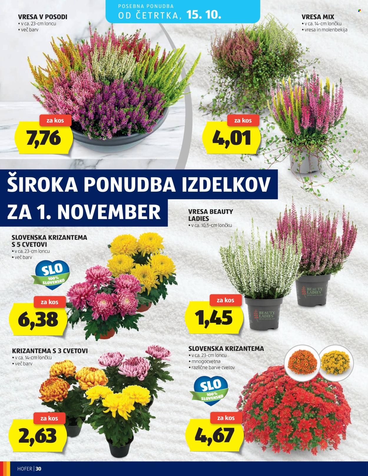 Hofer katalog - 7.10.2026 - 15.10.2026. Stran 30