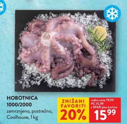 Hobotnica 1000/2000