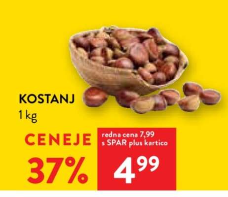 KOSTANJ