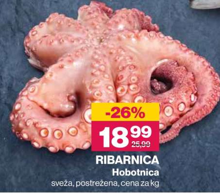 RIBARNICA Hobotnica
