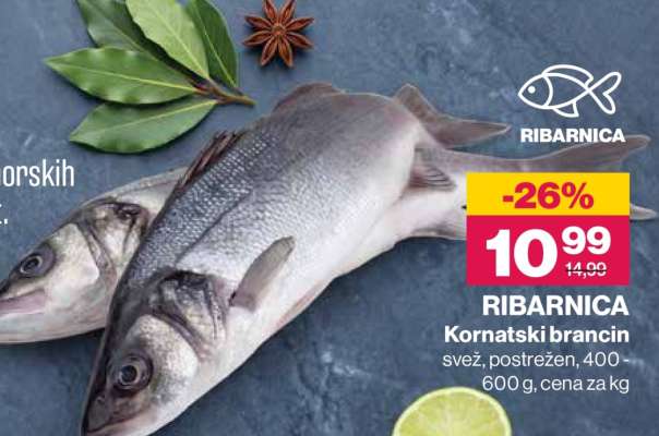 RIBARNICA Kornatski brancin