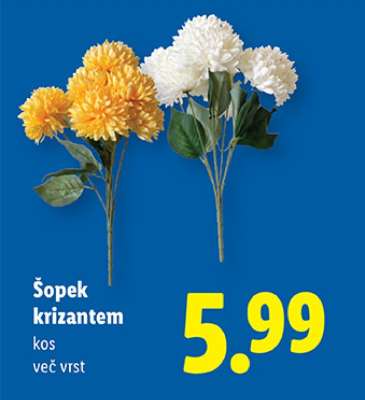 Šopek krizantem