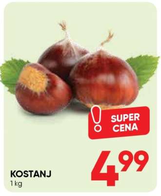 KOSTANJ