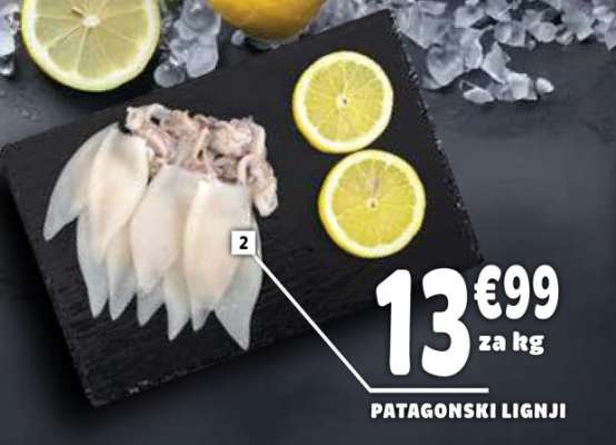 Patagonski lignji