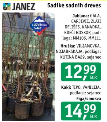 Sadike sadnih dreves - Jablan, Hruška, Kaki, Figa/smokva