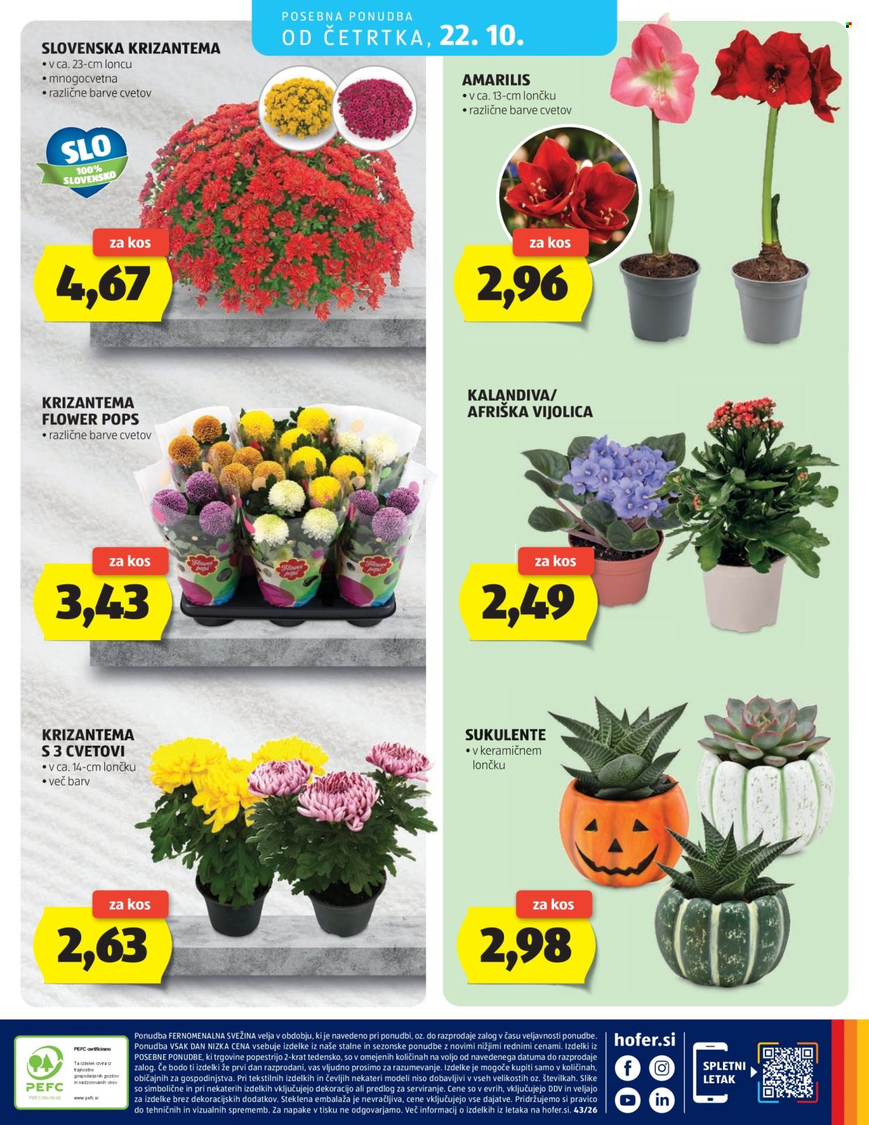 Hofer katalog - 14.10.2026 - 22.10.2026. Stran 32