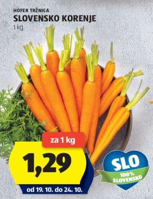 Slovensko korenje