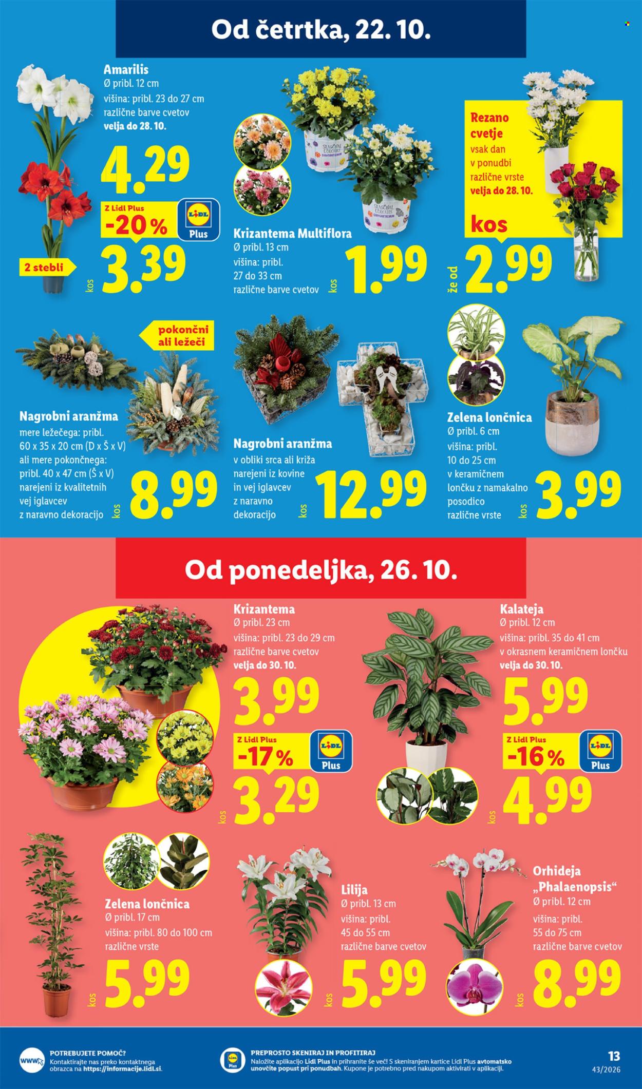 Lidl katalog - 22.10.2026 - 28.10.2026. Stran 25