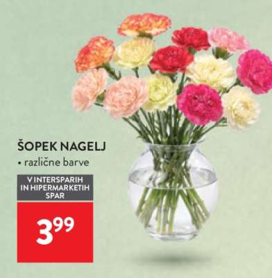 Šopek Nagelj