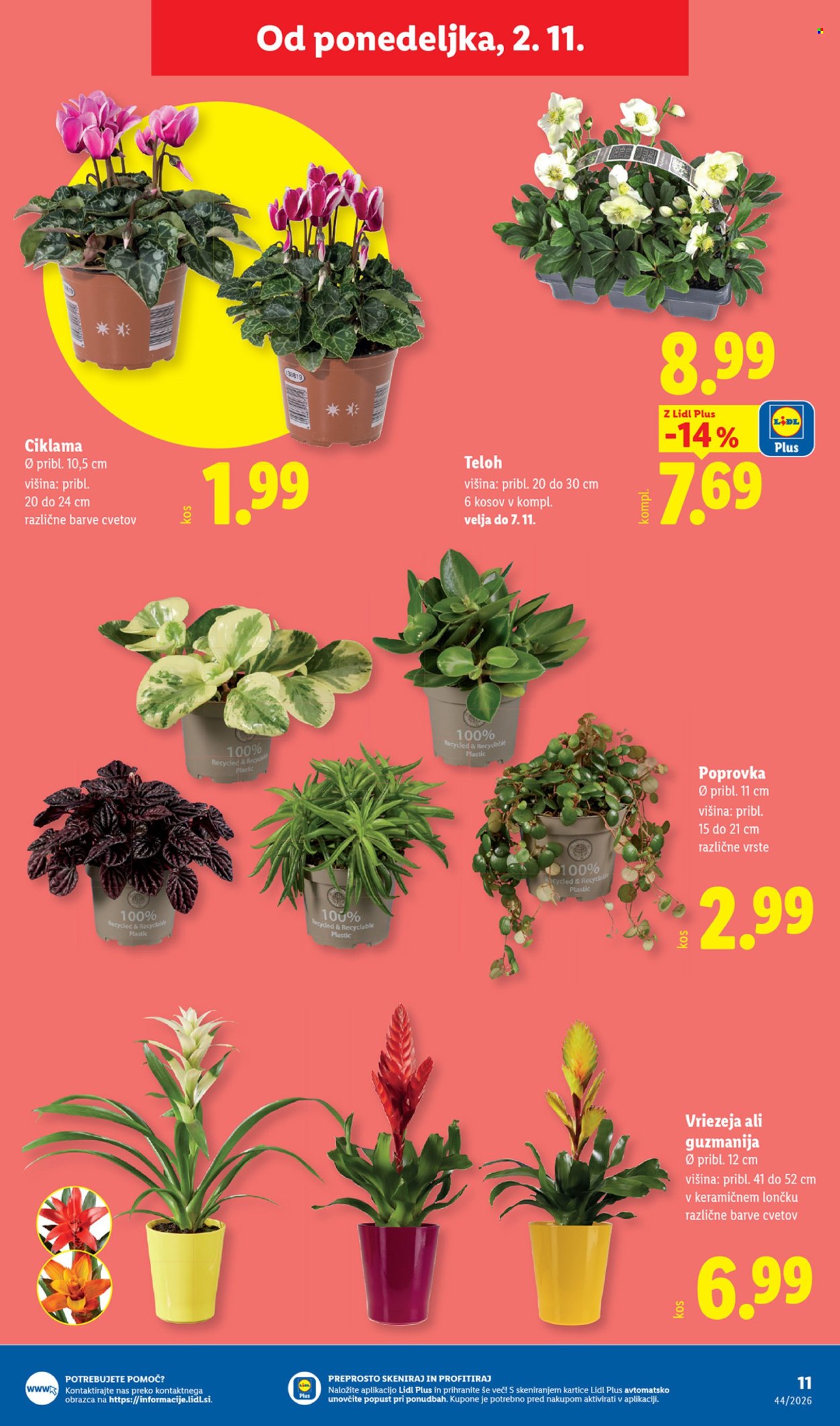 Lidl katalog - 28.10.2026 - 4.11.2026. Stran 29