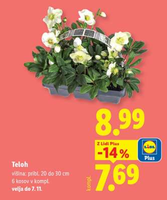 Teloh