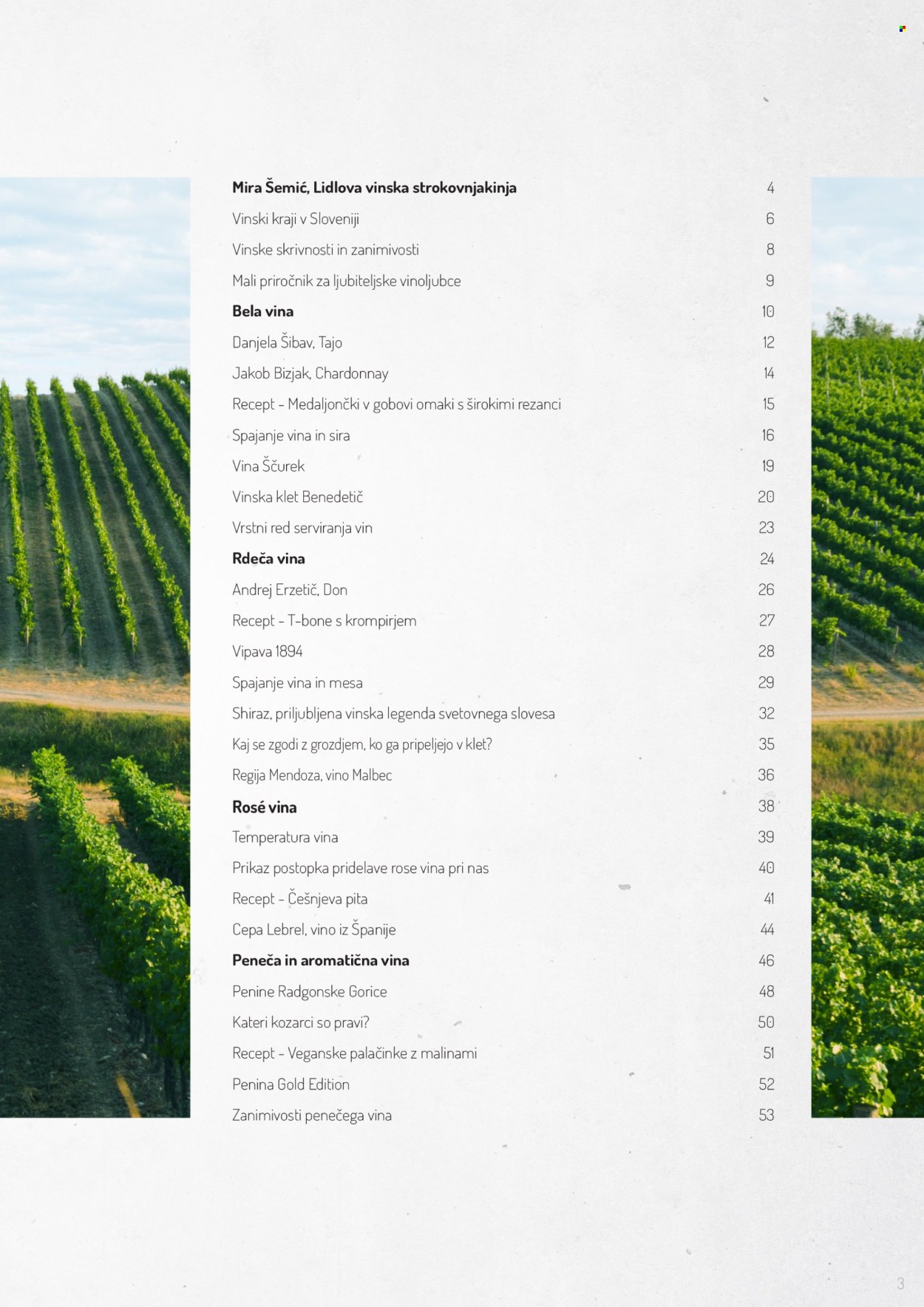 Lidl katalog. Stran 1
